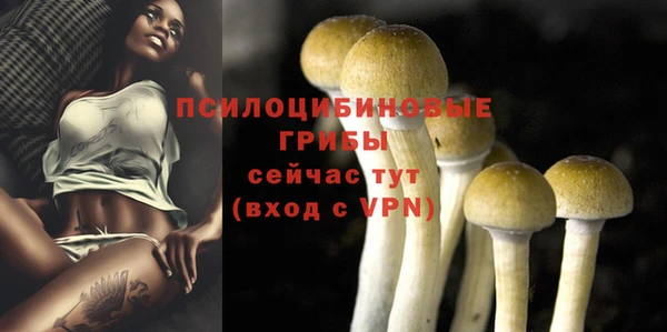героин Абаза